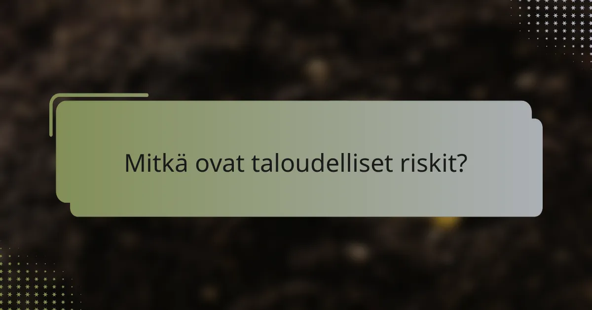 Mitkä ovat taloudelliset riskit?